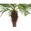 EUROPALMS Luxor Curved Artificial Phoenix Palm, 240cm 82510726