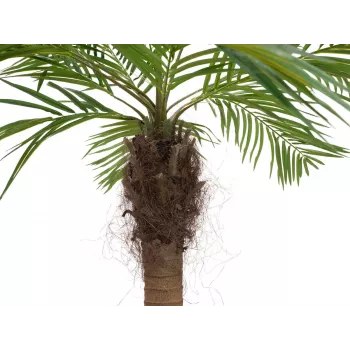 EUROPALMS Luxor Curved Artificial Phoenix Palm, 240cm 82510726