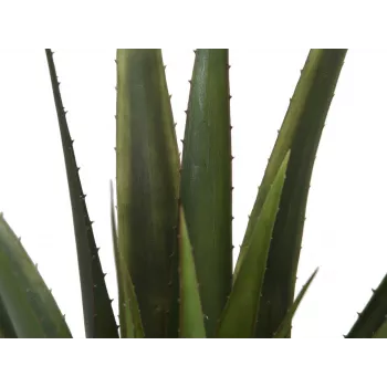 EUROPALMS dirbtinis alavijo augalas, 60 cm, juodas vazonas 82600167