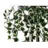 EUROPALMS Holland Ivy Hedge Screen Classic, dirbtinė, 60cm 82502210