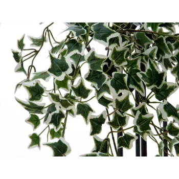 EUROPALMS Holland Ivy Hedge Screen Classic, dirbtinė, 60cm 82502210