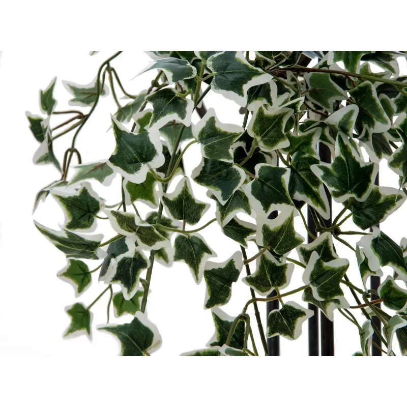 EUROPALMS Holland Ivy Hedge Screen Classic, dirbtinė, 60cm 82502210