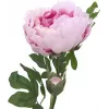 EUROPALMS Peony Branch Classic, dirbtinis augalas, rožinis, 80cm 82530210