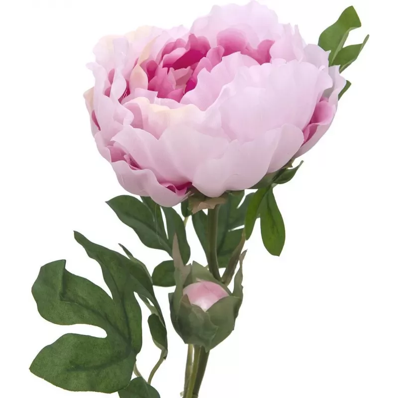 EUROPALMS Peony Branch Classic, dirbtinis augalas, rožinis, 80cm 82530210