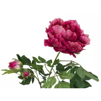EUROPALMS Premium bijūno šakelė dirbtinė gėlė, magenta, 100 cm 82530221