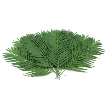 EUROPALMS Coconut Palm Frond, dirbtinė, 110cm, 12 vnt. rinkinys 82509897