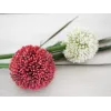 EUROPALMS dirbtinis česnako (allium) stiebas, raudonas, 55 cm, 82530568