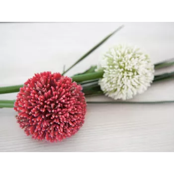 EUROPALMS dirbtinis česnako (allium) stiebas, raudonas, 55 cm, 82530568