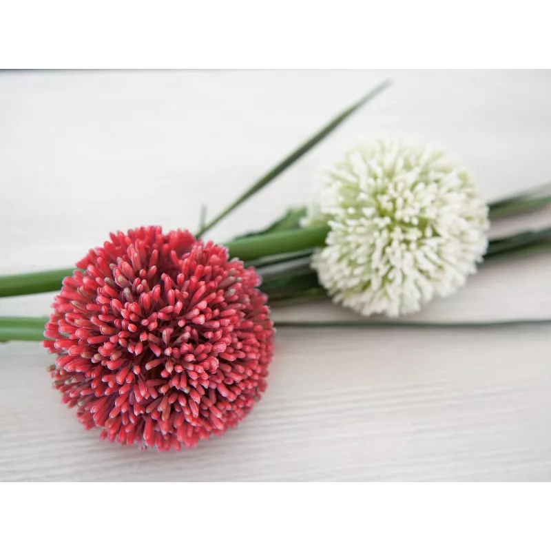 EUROPALMS dirbtinis česnako (allium) stiebas, raudonas, 55 cm, 82530568
