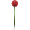 EUROPALMS dirbtinis česnako (allium) stiebas, raudonas, 55 cm, 82530568