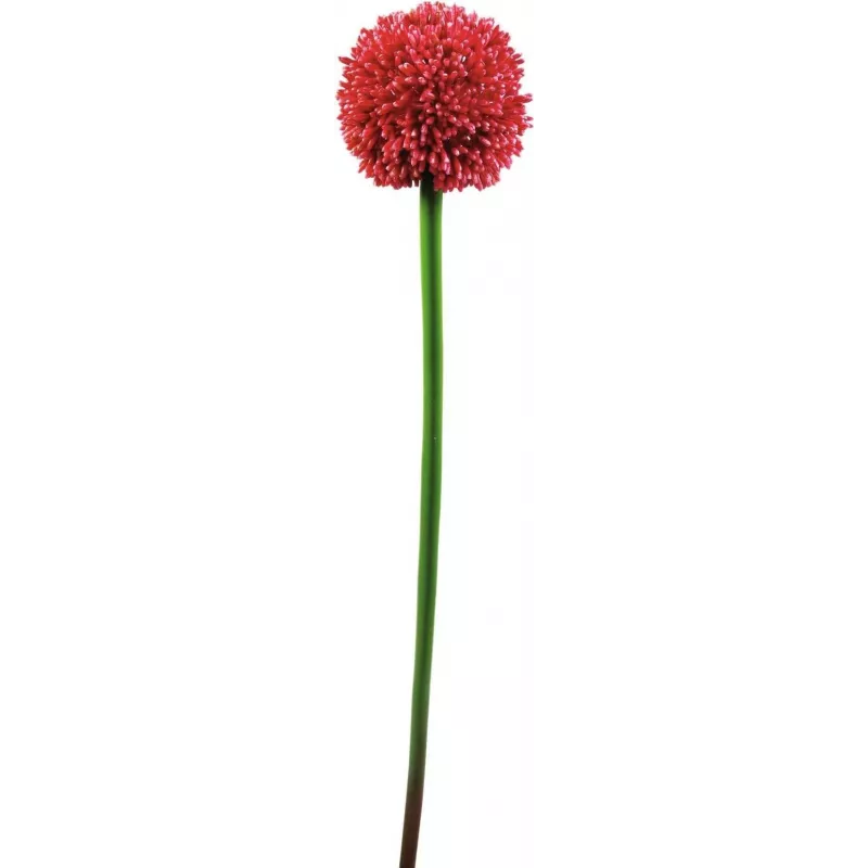 EUROPALMS dirbtinis česnako (allium) stiebas, raudonas, 55 cm, 82530568