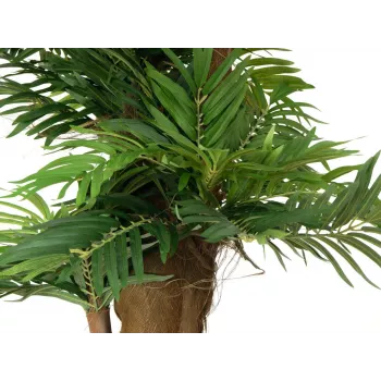 EUROPALMS Areca Palm dirbtinis augalas, 140cm 82509407