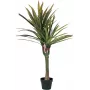 EUROPALMS dirbtinė dracena, 120 cm 82505779