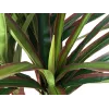EUROPALMS dirbtinė dracena, 120 cm 82505779
