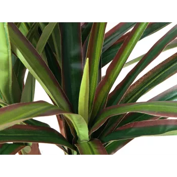 EUROPALMS dirbtinė dracena, 120 cm 82505779