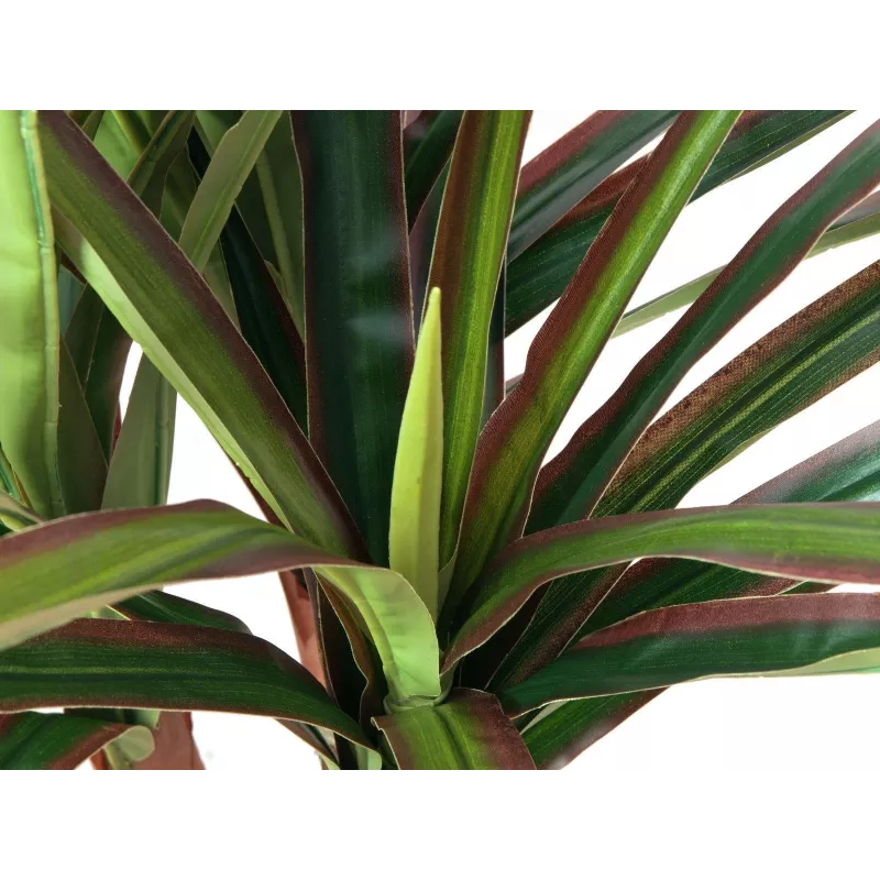 EUROPALMS dirbtinė dracena, 120 cm 82505779
