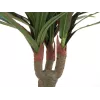 EUROPALMS dirbtinė dracena, 120 cm 82505779