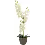 EUROPALMS Orchid Artificial Plant, Cream, 80cm 82530361
