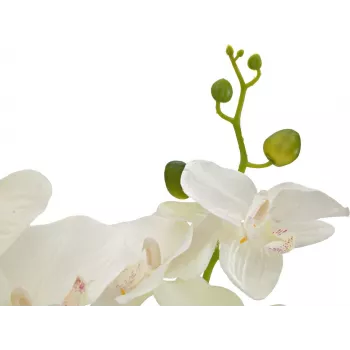 EUROPALMS Orchid Artificial Plant, Cream, 80cm 82530361