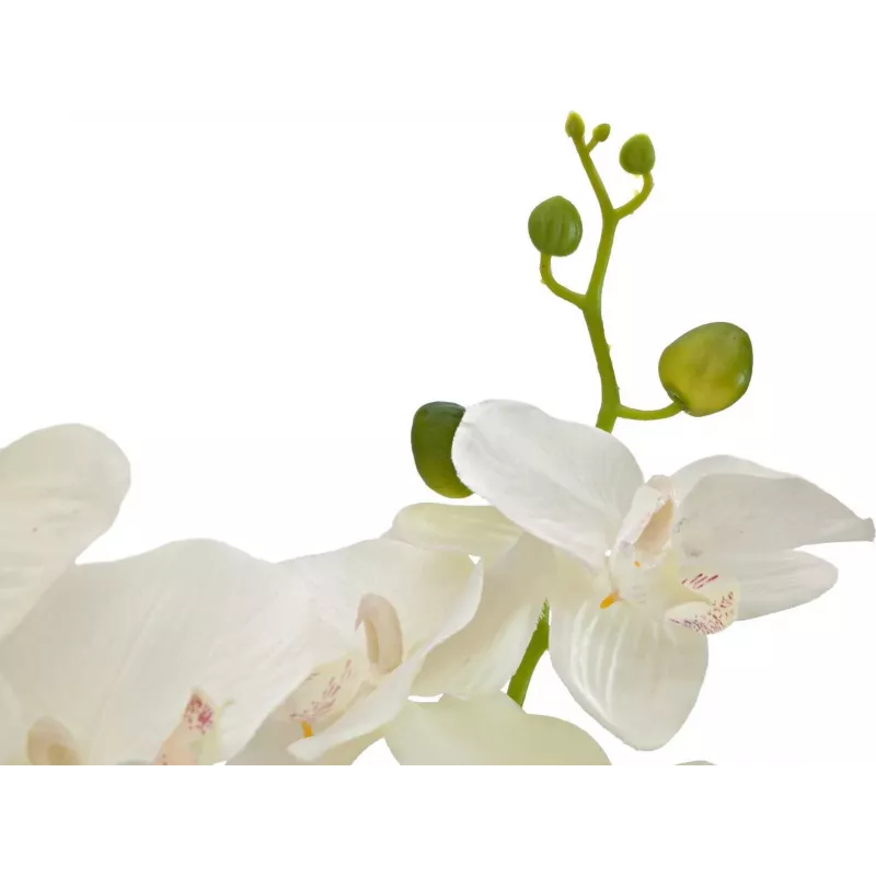 EUROPALMS Orchid Artificial Plant, Cream, 80cm 82530361