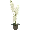 EUROPALMS Orchid Artificial Plant, Cream, 80cm 82530361