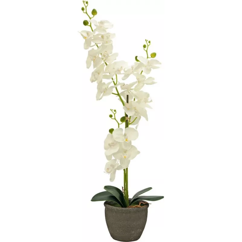 EUROPALMS Orchid Artificial Plant, Cream, 80cm 82530361