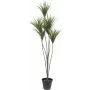 EUROPALMS Yucca Palm dirbtinis augalas, 130cm 82511552