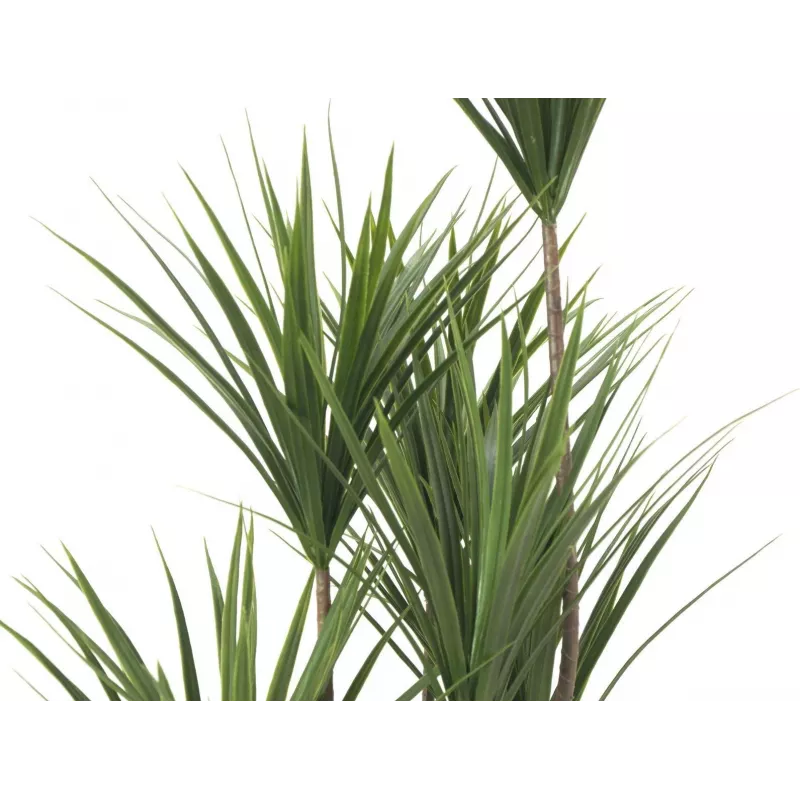 EUROPALMS Yucca Palm dirbtinis augalas, 130cm 82511552