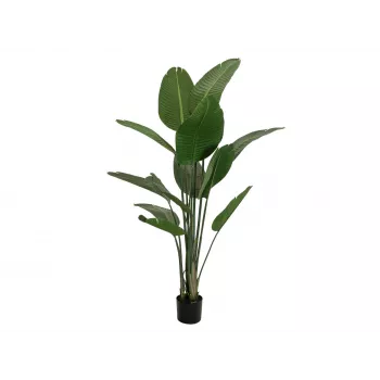 EUROPALMS Strelitzia dirbtinis augalas, 170cm, 3 gėlės, 12 lapų, žalias/oranžinis/mėlynas, juodas vazonas 82540523