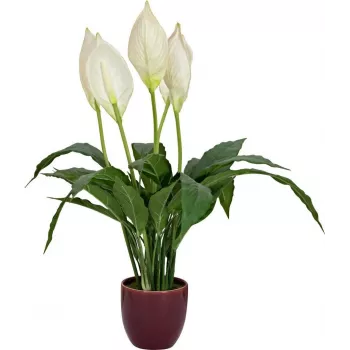 EUROPALMS dirbtinė taikos lelija, 60cm, juodas vazonas, 3 balti žiedai, 18 žalių lapų 82505660