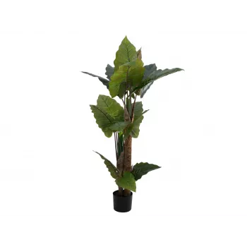 EUROPALMS Alocasia dirbtinis augalas, 140cm, žalias, juodas vazonas 82508464