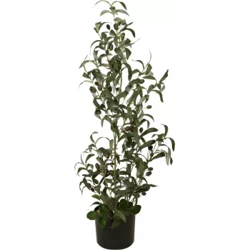 EUROPALMS dirbtinysis alyvmedis, 90 cm, plastikiniai lapai, natūralaus medžio kamienas, juodas vazonas 82506422