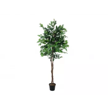 EUROPALMS Ficus Benjamina daugiavainikis dirbtinis augalas, 210cm 82506127