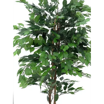 EUROPALMS Ficus Benjamina daugiavainikis dirbtinis augalas, 210cm 82506127