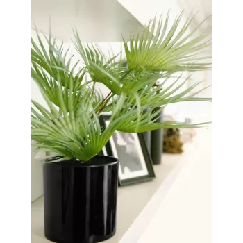 EUROPALMS dirbtinė vėduoklinė palmė vazonėlyje, 55 cm 82509401
