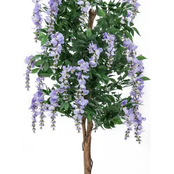 EUROPALMS Dirbtinis auksalotis (Laburnum) su violetiniais žiedais, 180 cm 82507136