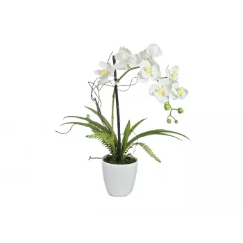 EUROPALMS Dirbtinė orchidėjų kompozicija 1, vazoninė, balta-rožinė, 60 cm 82530346