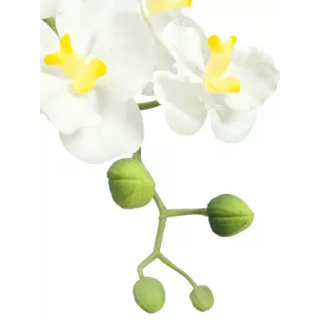 EUROPALMS Dirbtinė orchidėjų kompozicija 1, vazoninė, balta-rožinė, 60 cm 82530346