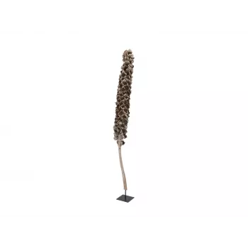 EUROPALMS Cacho Coco dirbtinė kokoso palmė, 120-190 cm, tikro medžio kamienas, 12 lapų, skirta patalpoms 83502349