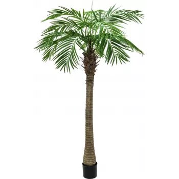EUROPALMS Luxor dirbtinė finikų palmė, 150 cm, žalia 82510720