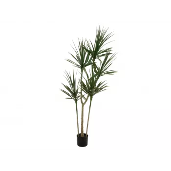 EUROPALMS Dracena dirbtinis augalas, žalias, 170 cm 82505799