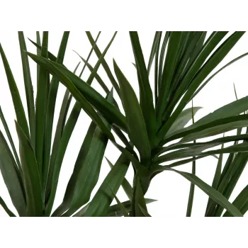 EUROPALMS Dracena dirbtinis augalas, žalias, 170 cm 82505799
