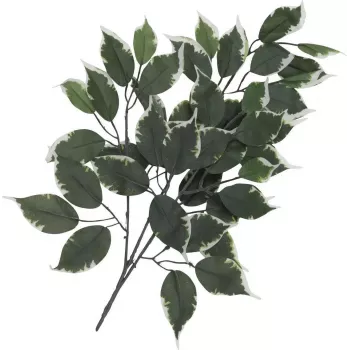 EUROPALMS dirbtinė fikuso šakelė, 12 vienetų rinkinys, 60 cm, žalia 82506100
