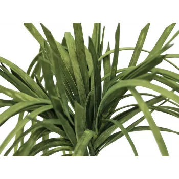 EUROPALMS Dirbtinis jūros žolės augalas (EVA), žalias, 100 cm 82531062