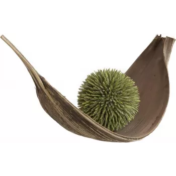 EUROPALMS Succulent Ball (EVA) dirbtinis augalas, žalias, 20cm 82531071