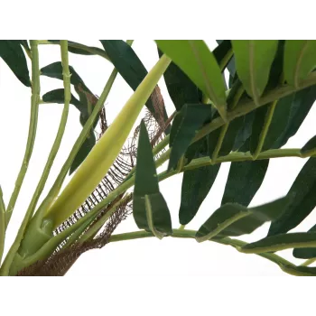 EUROPALMS Parlour Palm dirbtinis augalas, 150cm 82509495