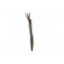 EUROPALMS Dirbtinė nendrių žolė su šiurkščiaisiais šiurkšliais, tamsiai žalia, 152cm 82505854