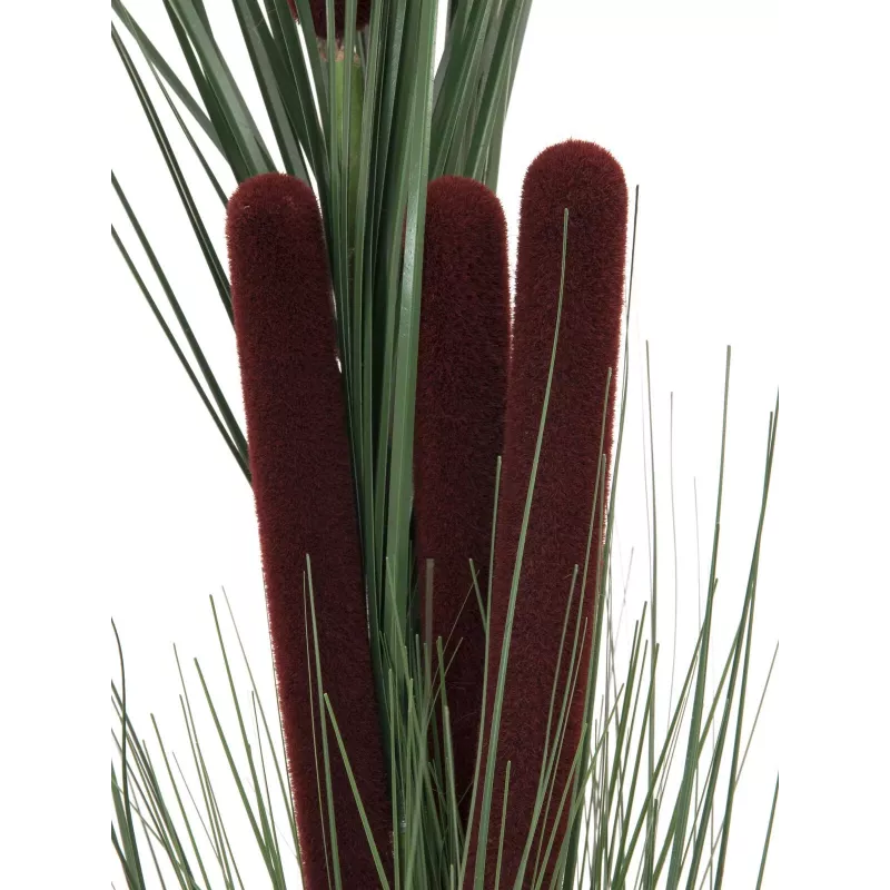 EUROPALMS Dirbtinė nendrių žolė su šiurkščiaisiais šiurkšliais, tamsiai žalia, 152cm 82505854