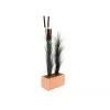 EUROPALMS Dirbtinė nendrių žolė su šiurkščiaisiais šiurkšliais, tamsiai žalia, 152cm 82505854