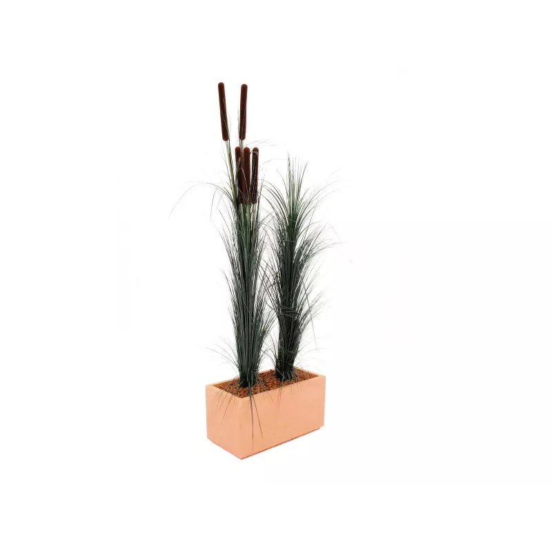EUROPALMS Dirbtinė nendrių žolė su šiurkščiaisiais šiurkšliais, tamsiai žalia, 152cm 82505854